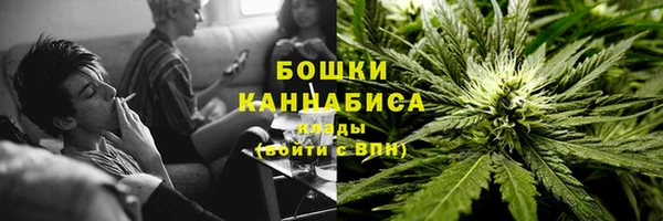 PSILOCYBIN Зуевка